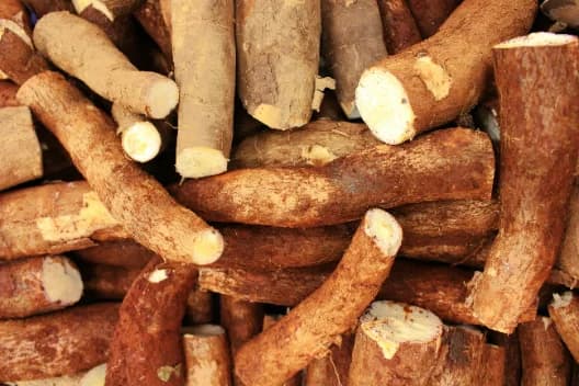 Milled cassava flour and starch for food and industrial use
